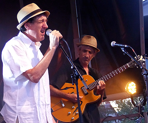 Les Vieux Briscards du Blues