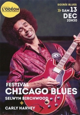 Festival Chicago Blues 2025